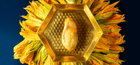 PASTELLATI